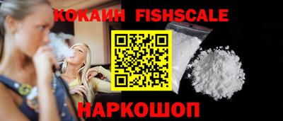 крисы Краснознаменск