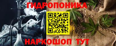 крисы Краснознаменск