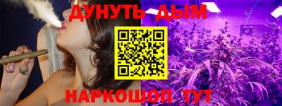 крисы Краснознаменск