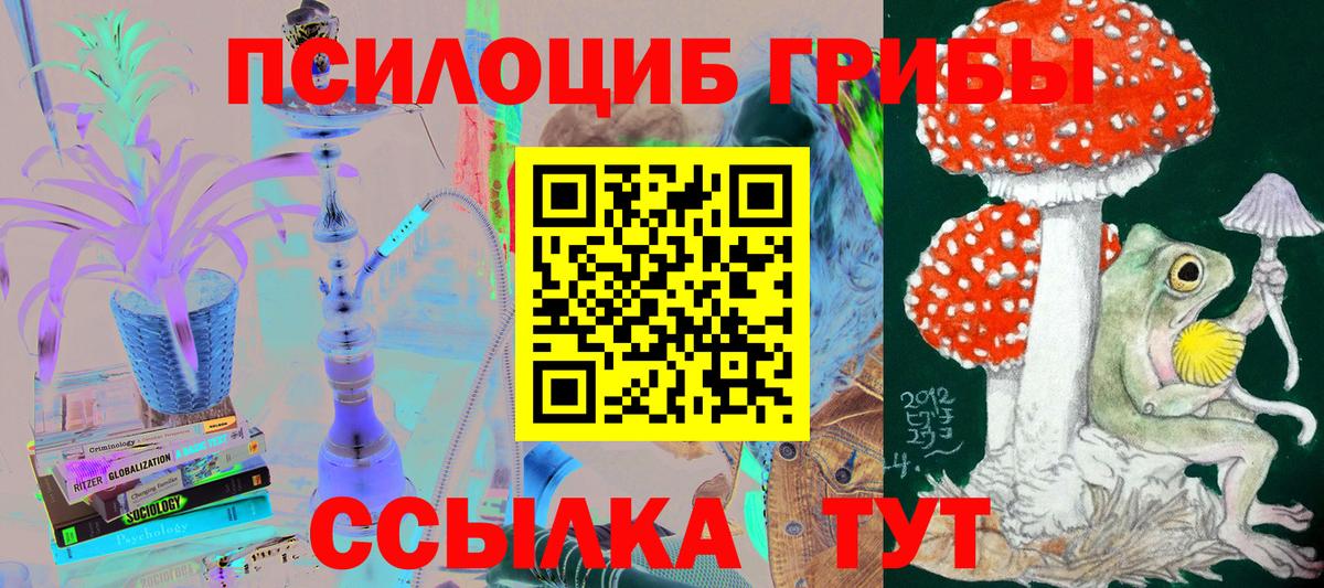 Волжск  Псилоцибиновые грибы Cubensis  Вход с VPN 
