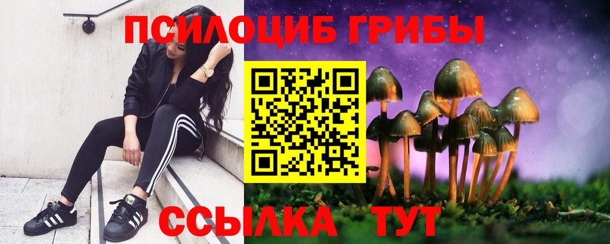 Галлюциногенные грибы Magic Shrooms Волжск